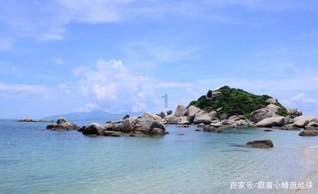 救援小棕兔